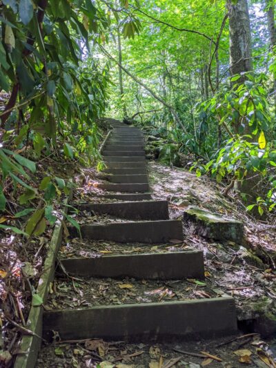 Hemlock Trail - Bruceton Mills, WV