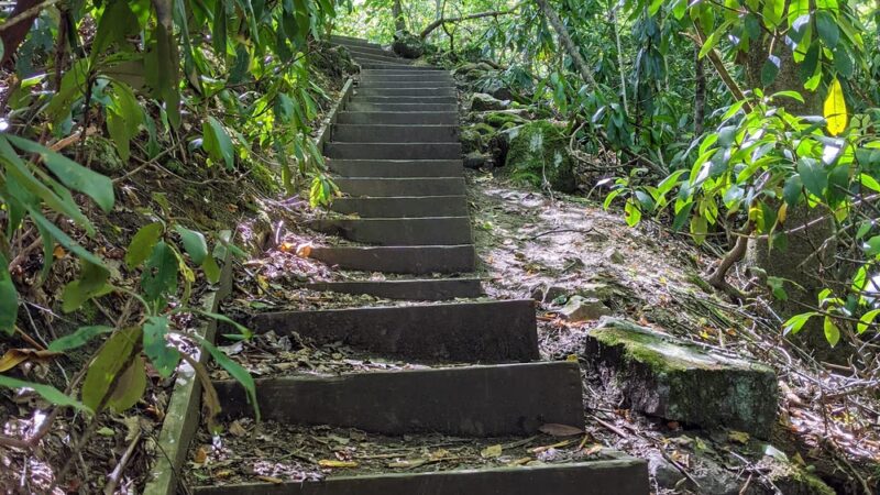 Hemlock Trail - Bruceton Mills, WV