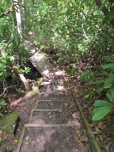 Hemlock Trail - Bruceton Mills, WV