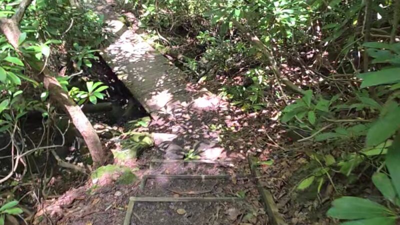 Hemlock Trail - Bruceton Mills, WV