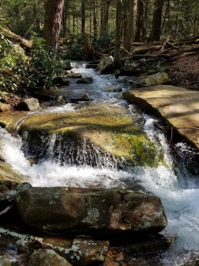 Hemlock Trail - Bruceton Mills, WV