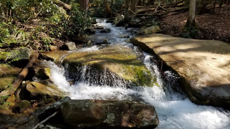 Hemlock Trail - Bruceton Mills, WV