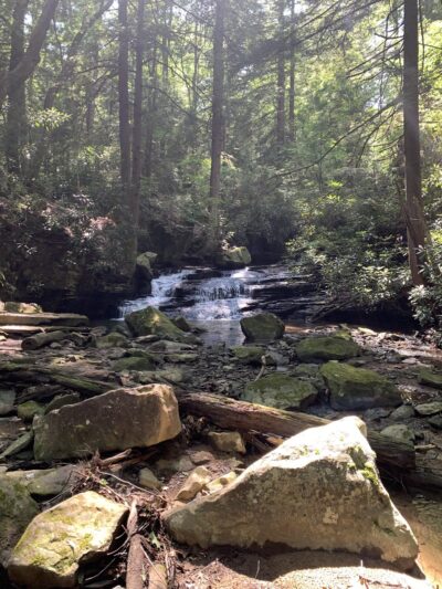 Hemlock Trail - Bruceton Mills, WV