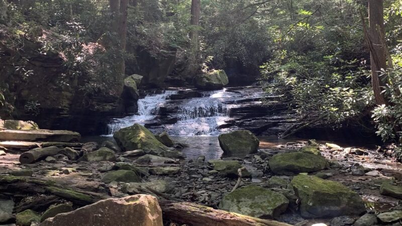 Hemlock Trail - Bruceton Mills, WV