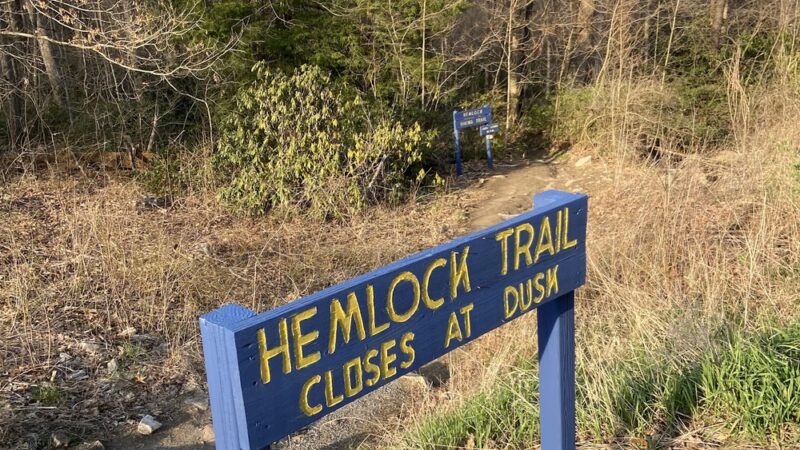 Hemlock Trail - Bruceton Mills, WV