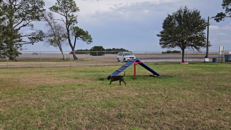 Dog Park - Brunswick, GA