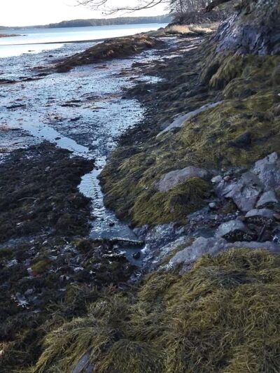Woodward Point Preserve - Brunswick, ME