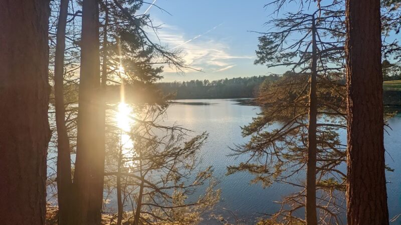 Woodward Point Preserve - Brunswick, ME