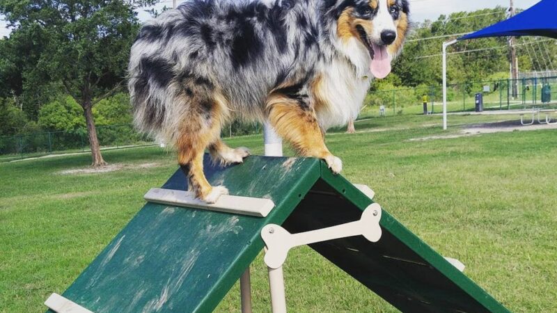 Hudson Park - Dog Park and Agility Course - Bryan, TX