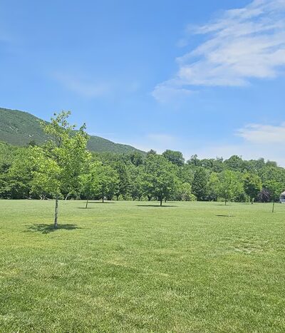 Buchanan Town Park - Buchanan, VA