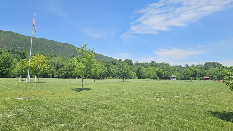 Buchanan Town Park - Buchanan, VA