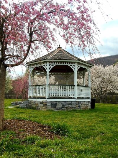 Buchanan Town Park - Buchanan, VA