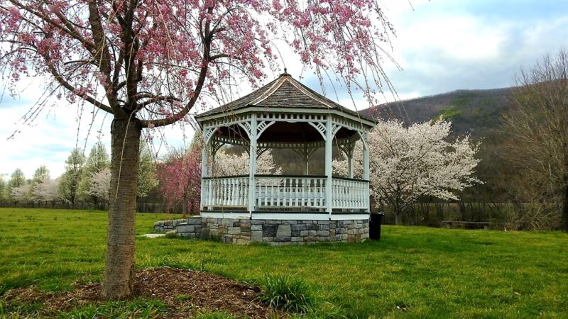 Buchanan Town Park - Buchanan, VA