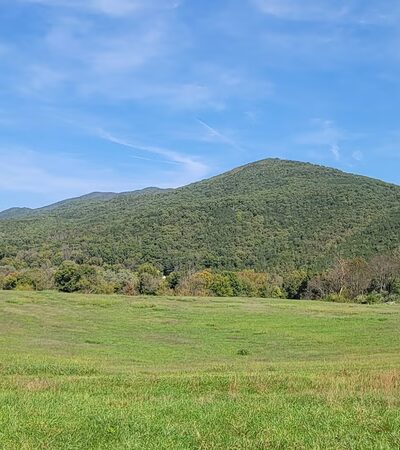 Buchanan Town Park - Buchanan, VA