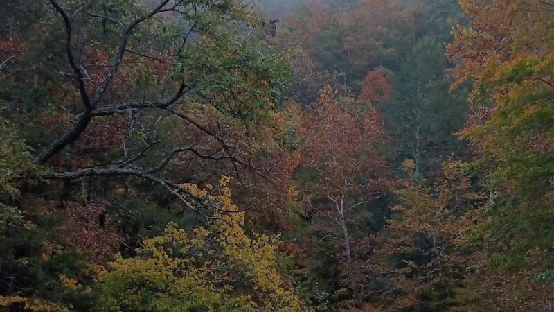 Jennings Creek Appalachian Trail Crossing - Buchanan, VA