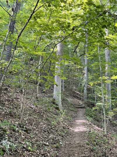 Jennings Creek Appalachian Trail Crossing - Buchanan, VA