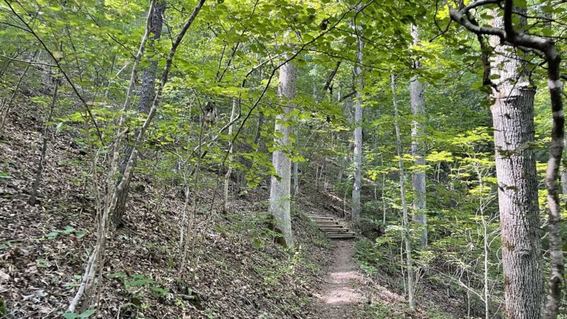 Jennings Creek Appalachian Trail Crossing - Buchanan, VA