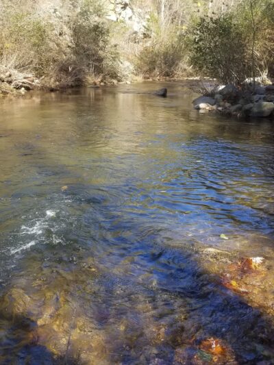 Jennings Creek Appalachian Trail Crossing - Buchanan, VA