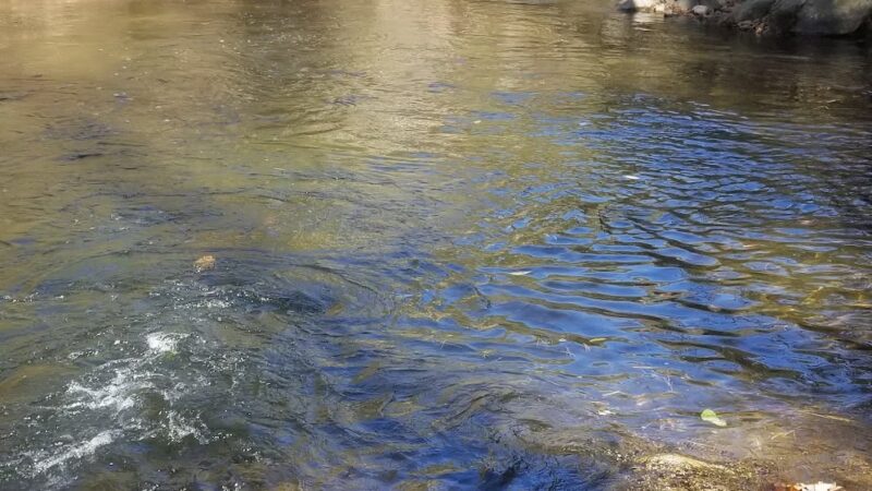 Jennings Creek Appalachian Trail Crossing - Buchanan, VA