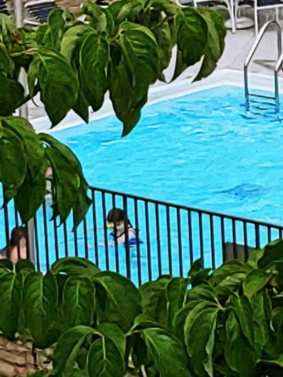 Buckhorn Campground - Buckhorn, KY