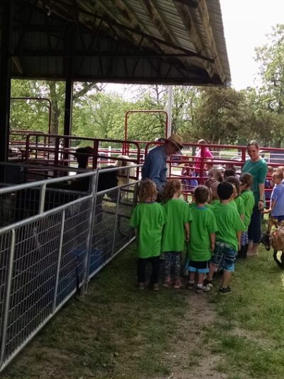 Buffalo City Park - Buffalo, MO