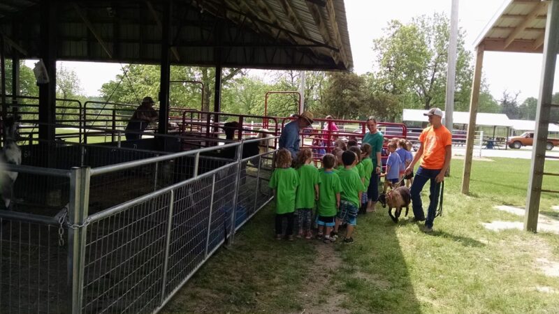 Buffalo City Park - Buffalo, MO