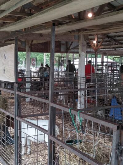 Buffalo City Park - Buffalo, MO