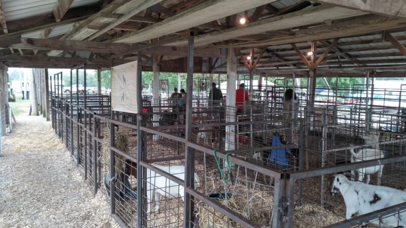 Buffalo City Park - Buffalo, MO