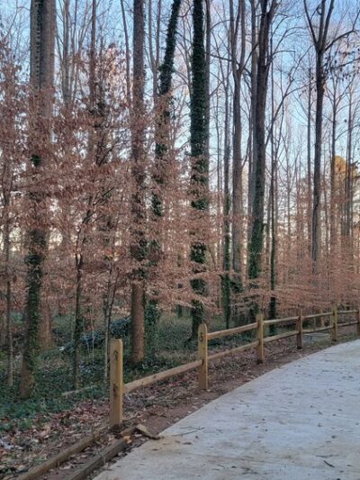 Buford Nature Preserve Entrance - Buford, GA