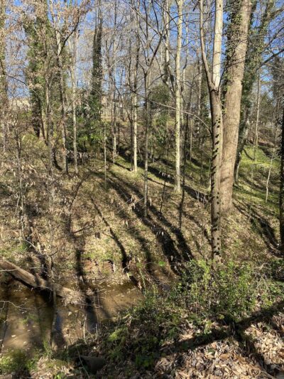 Buford Nature Preserve Entrance - Buford, GA
