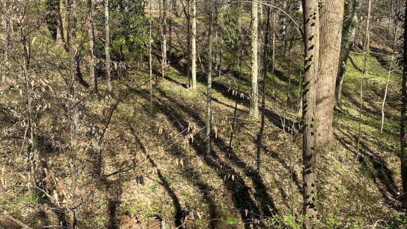 Buford Nature Preserve Entrance - Buford, GA