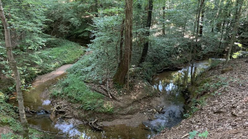 Buford Nature Preserve Entrance - Buford, GA