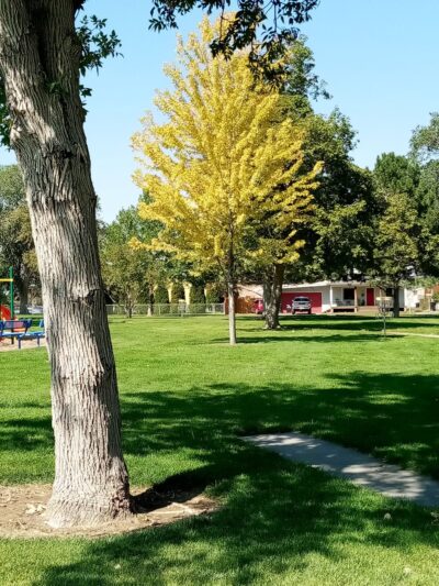 McClusky Park - Buhl, ID