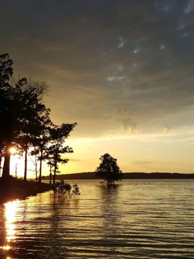 Point Return Public Use Area - Bull Shoals, AR