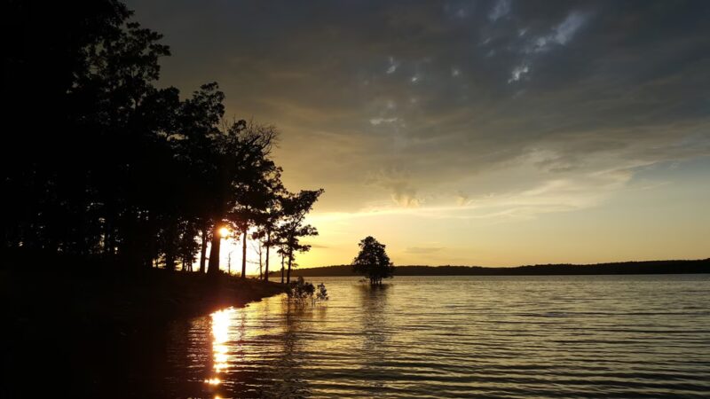 Point Return Public Use Area - Bull Shoals, AR