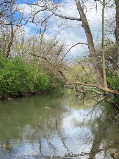 Morgan Park - Bunker Hill, WV