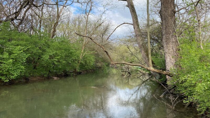 Morgan Park - Bunker Hill, WV