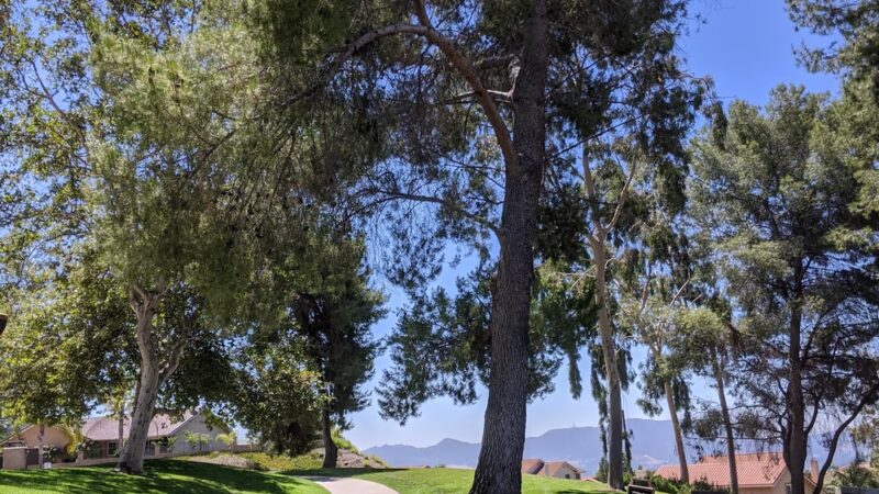 Brace Canyon Park - Burbank, CA