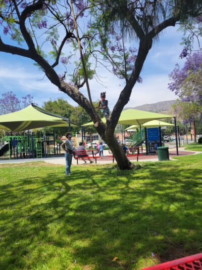 Earthwalk Park - Burbank, CA