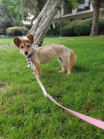 Earthwalk Park - Burbank, CA