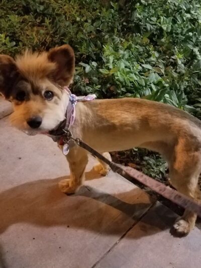 Earthwalk Park - Burbank, CA