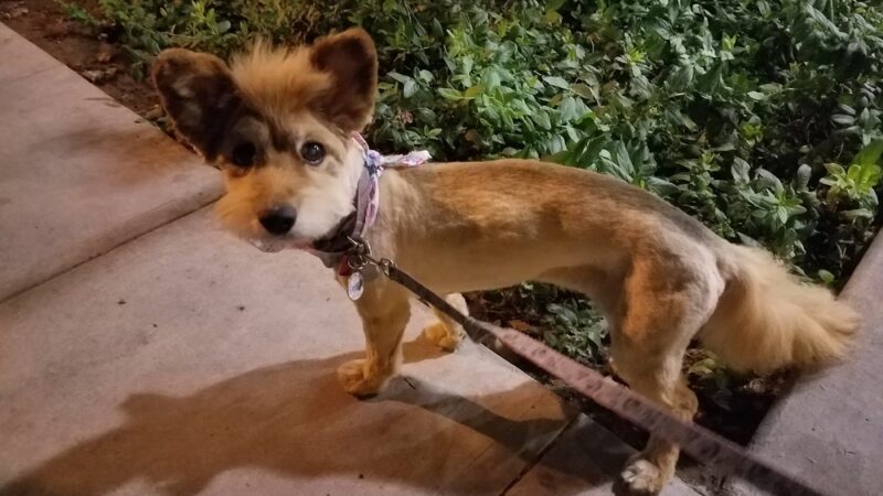 Earthwalk Park - Burbank, CA