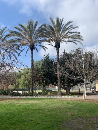 McCambridge Park - Burbank, CA