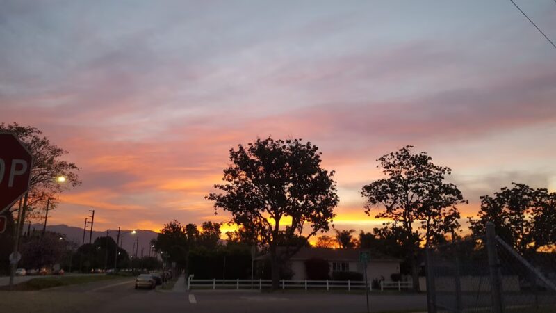 Whitnall Highway Park North - Burbank, CA