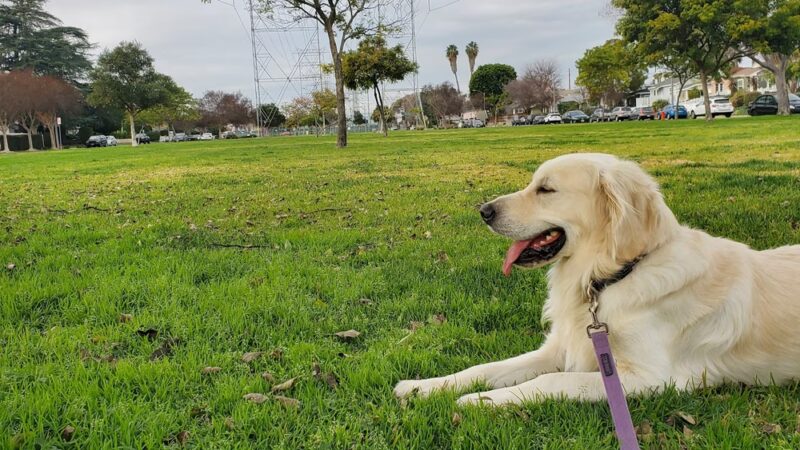 Whitnall Highway Park North - Burbank, CA