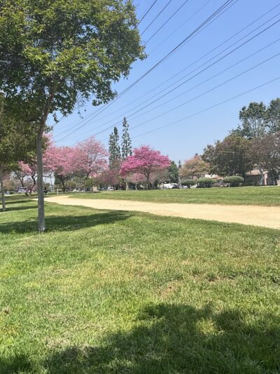 Whitnall Highway Park South - Burbank, CA