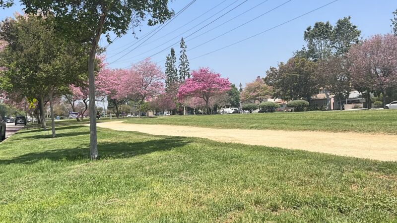 Whitnall Highway Park South - Burbank, CA