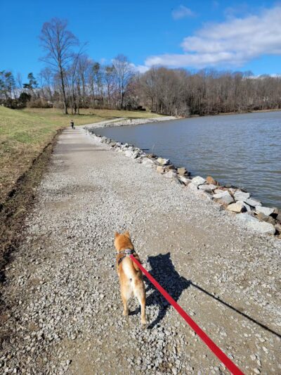 Lake Barton Park - Burke, VA
