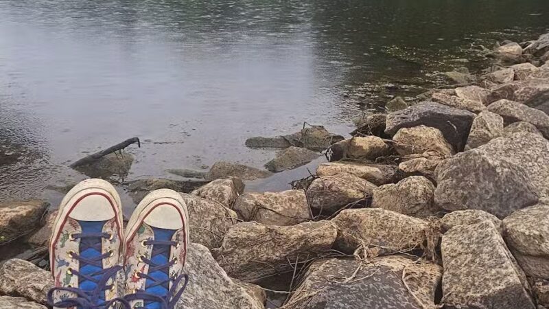 Lake Barton Park - Burke, VA