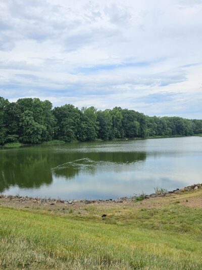 Lake Barton Park - Burke, VA